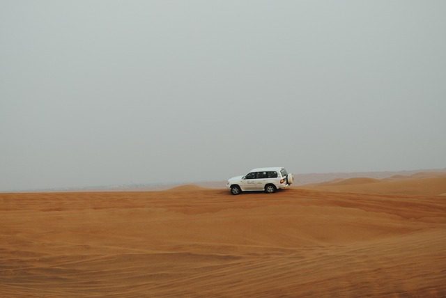 Desert Safari in Al Wasil Road