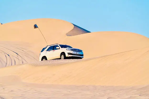 Morning Desert Safari