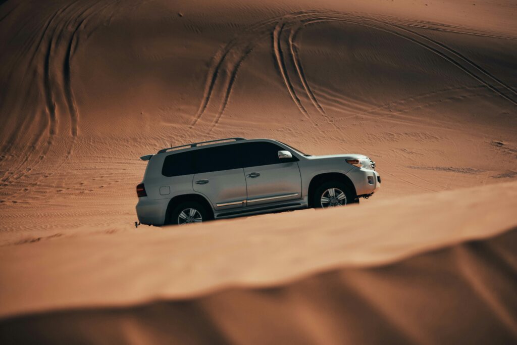 morning Desert Safari