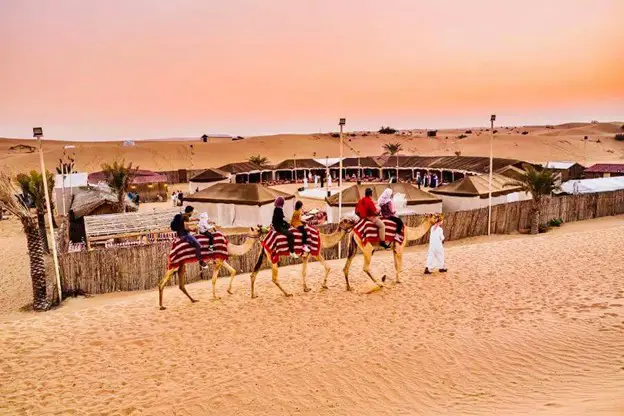 Morning Desert Safari​